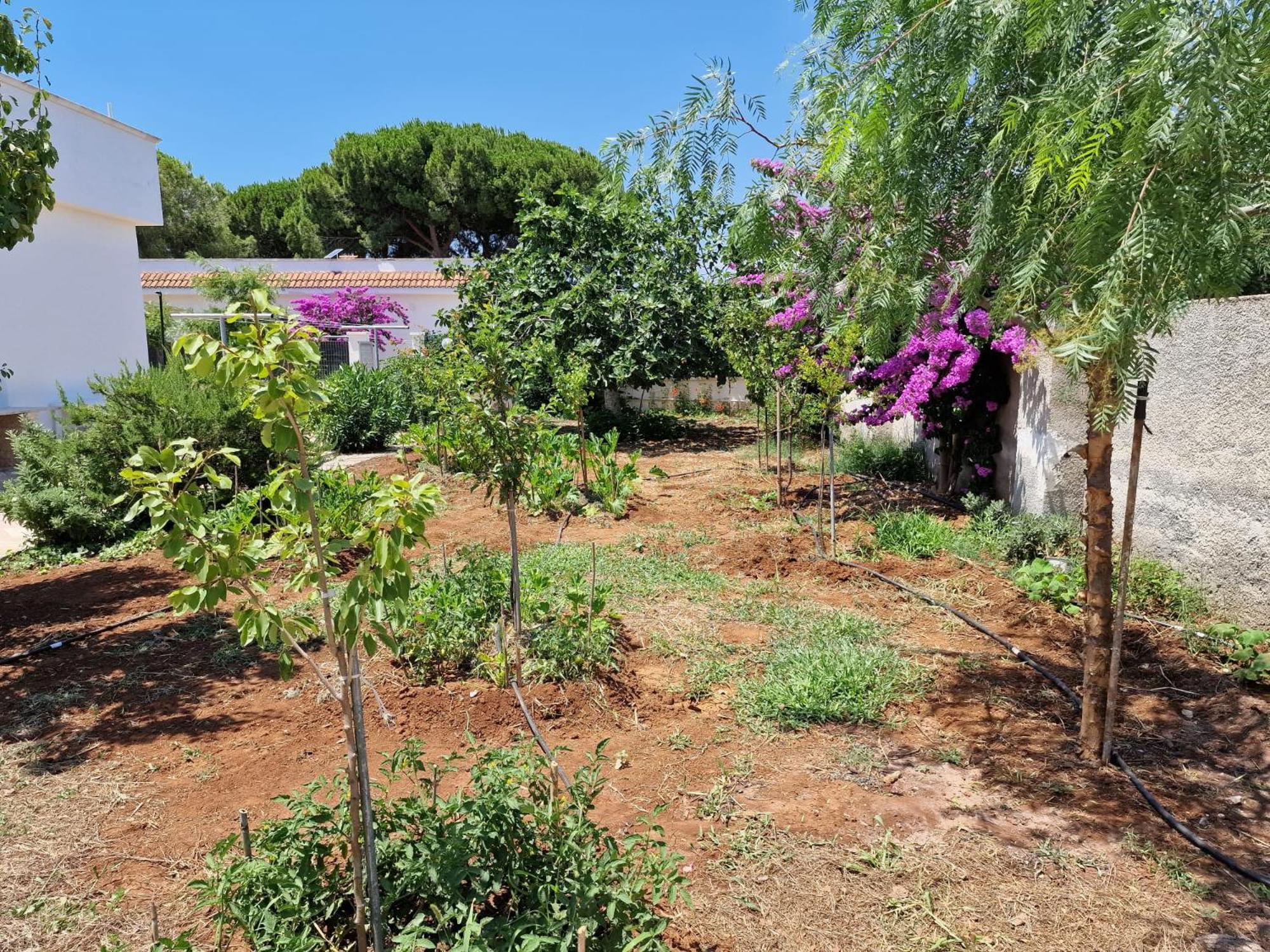 Villa Carmela A San Pietro In Bevagna Εξωτερικό φωτογραφία