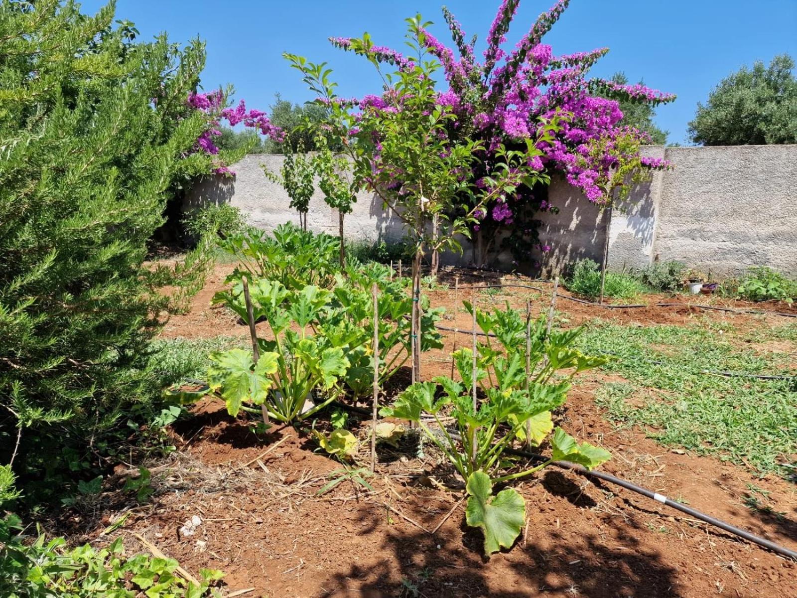 Villa Carmela A San Pietro In Bevagna Εξωτερικό φωτογραφία